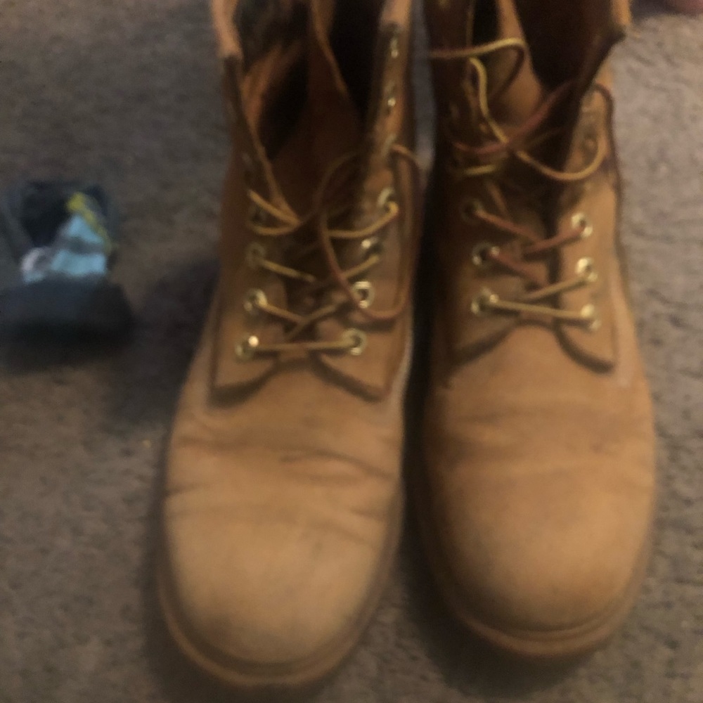 Slightly used timberlands